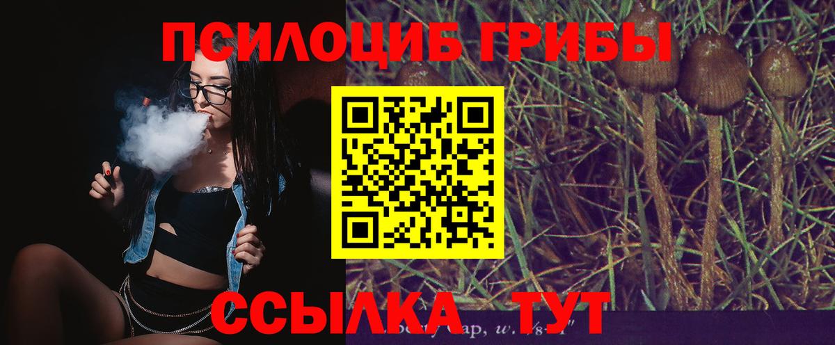 Псилоцибиновые грибы мицелий Гуково